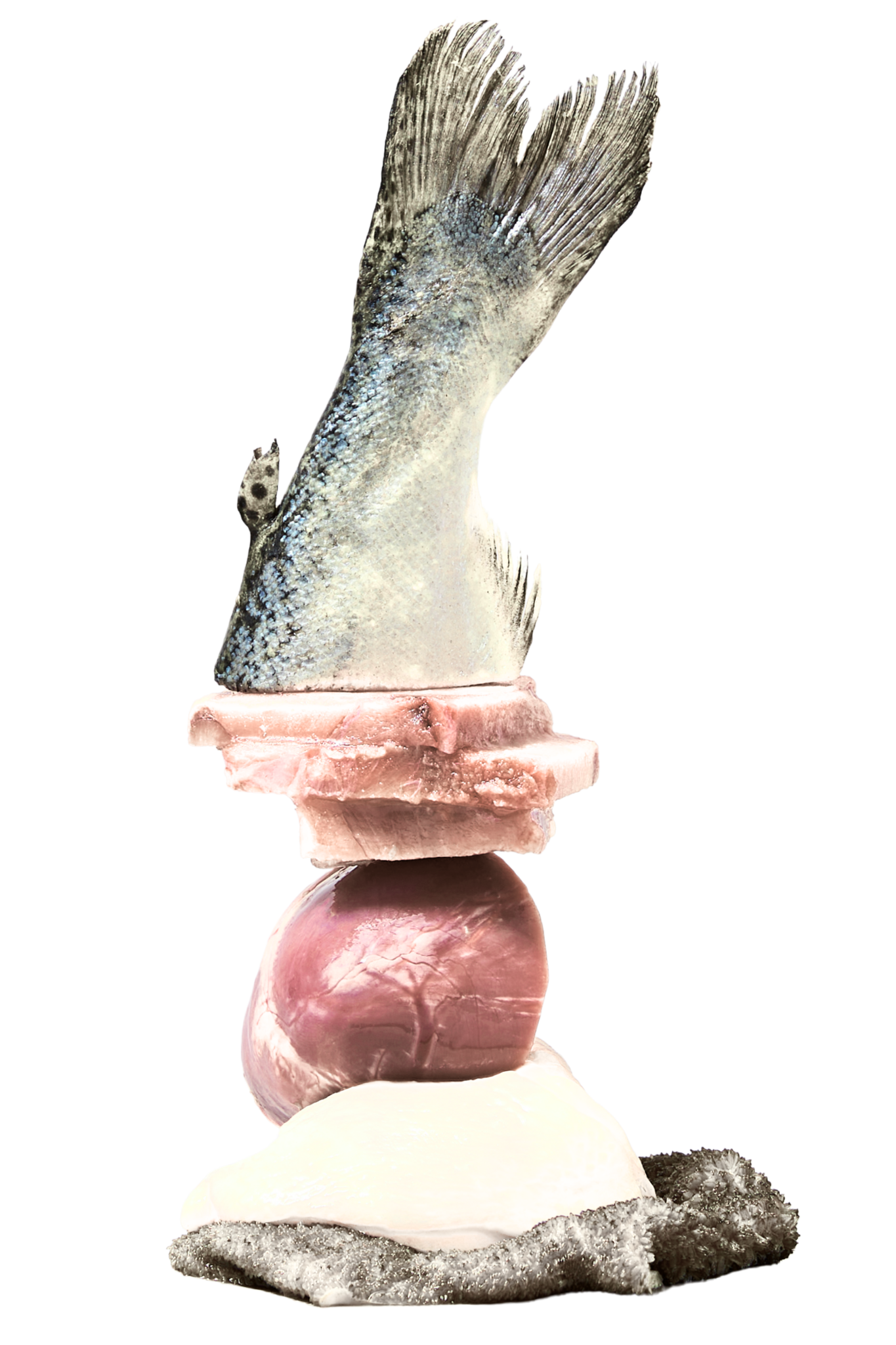 Raw Essential Lamb Mix 020