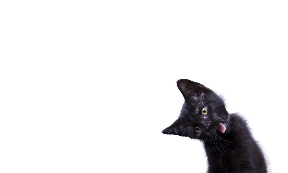 NZ s Raw Pet Food Experts Wildly Good Nutrition Raw Essentials nz-s-raw-pet-food-experts-wildly-good-nutrition-raw-essentials