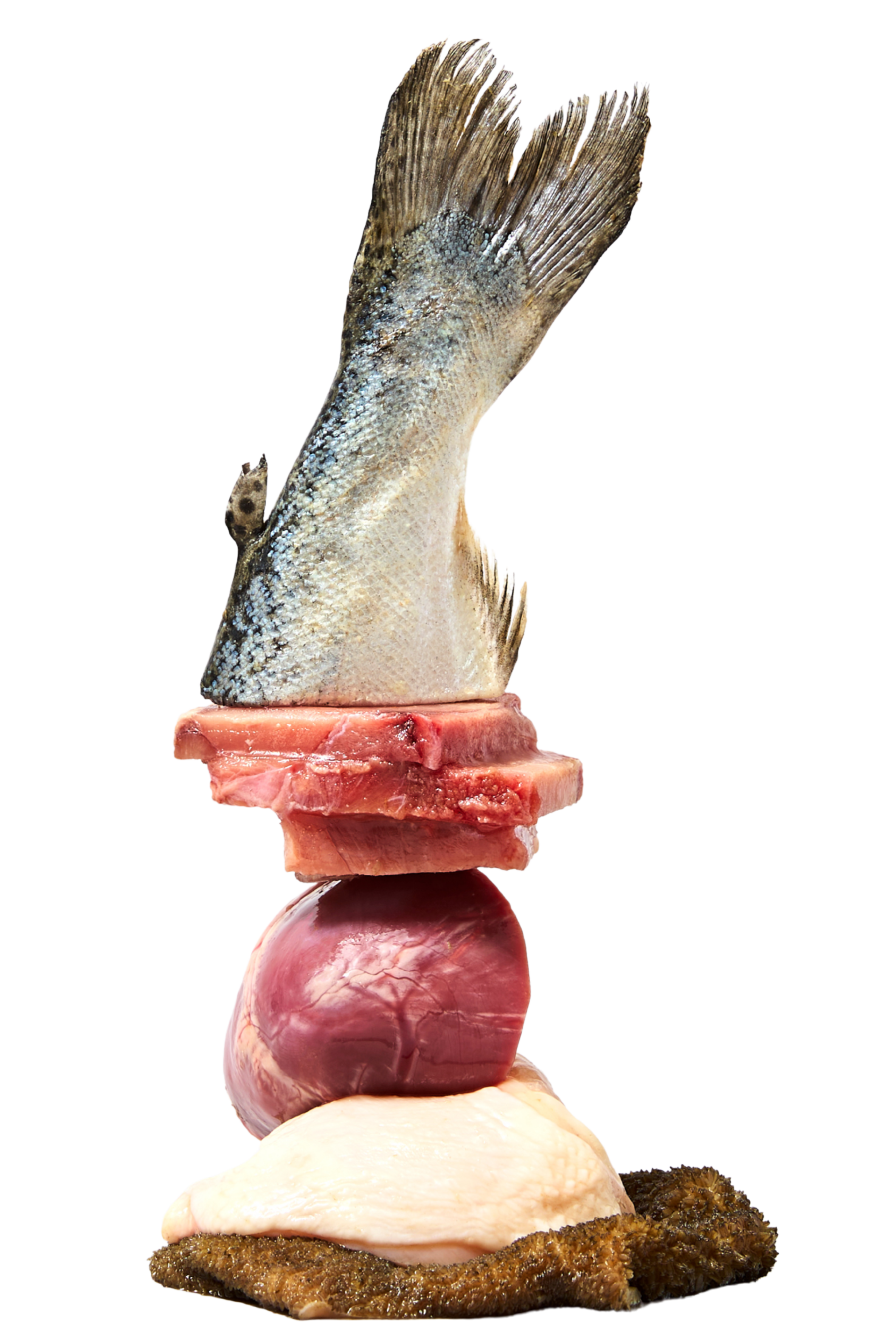 Raw education banner