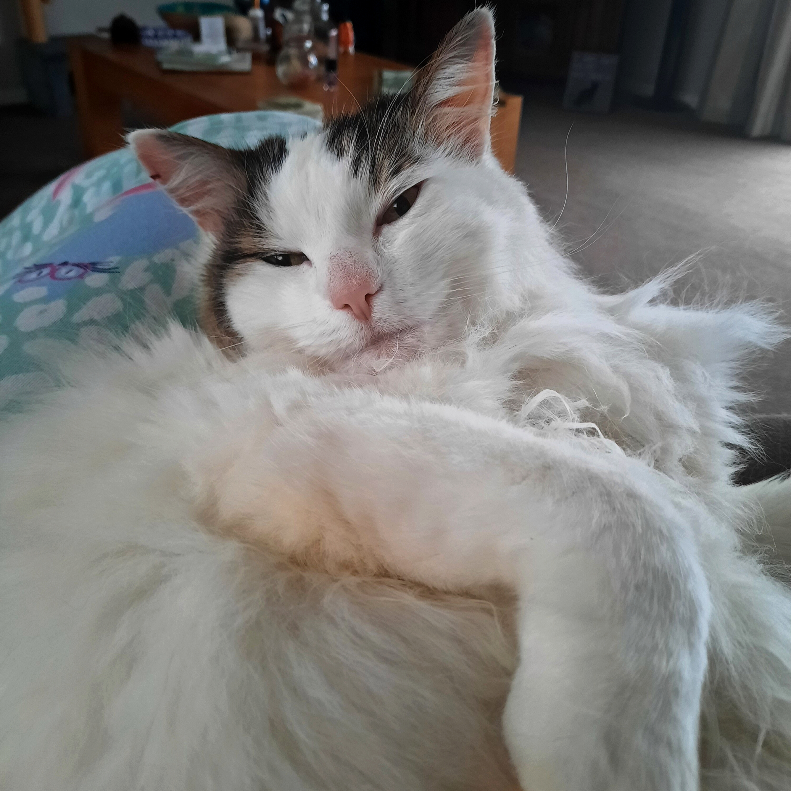 Fluffy