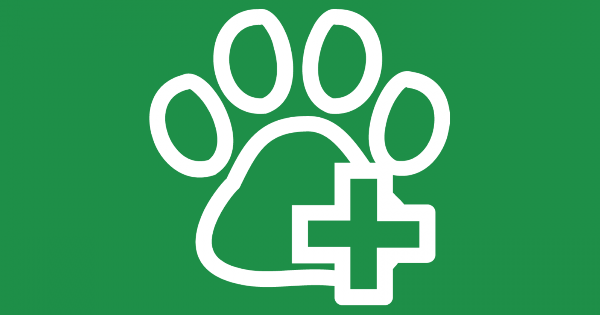 Iodine Animal Wash for Cats and Dogs I Raw Essentials