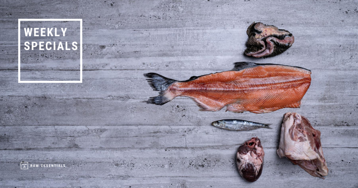 Salmon Mince for Dogs and Cats I Raw Essentials