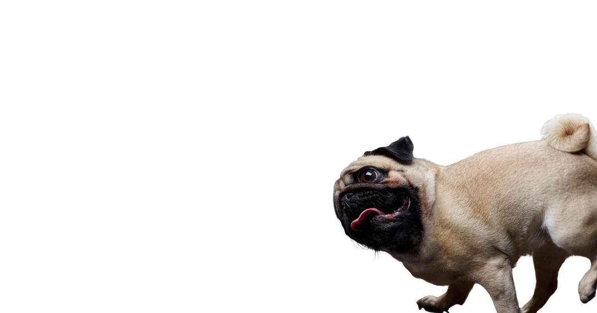 Freeze Dried Beef Pancreas Natural Treats for Cats and Dogs Raw…