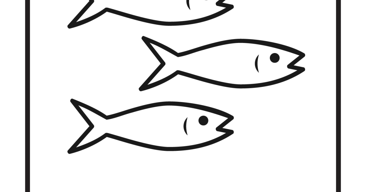 Raw Fish Food for Dogs & Cats Salmon Steak & Mince Raw Essentials