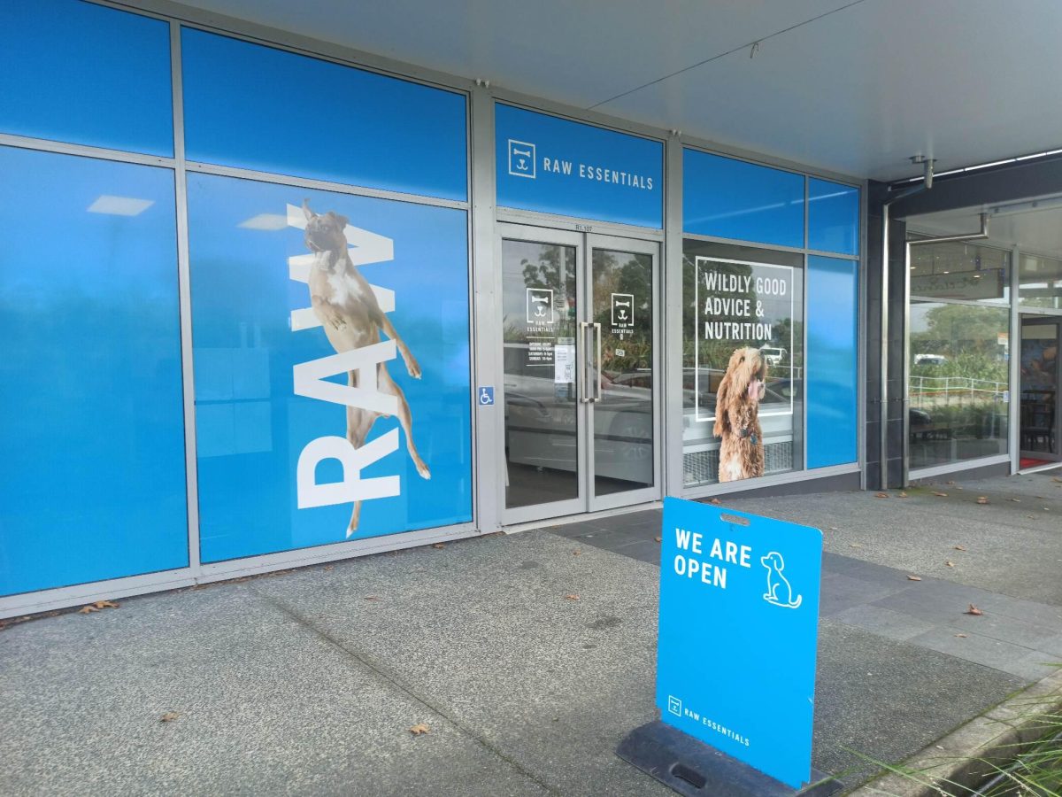 344800742 255340403638168 5212280498907670694 n