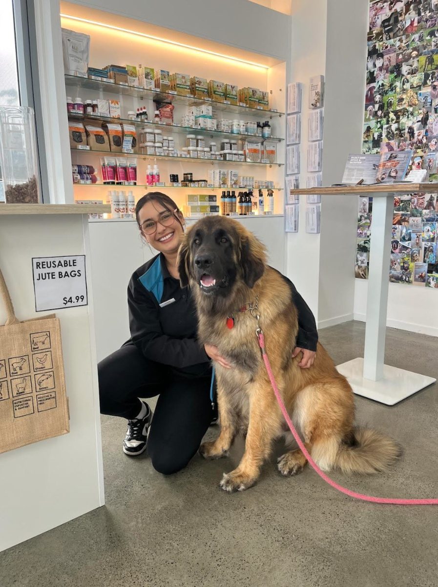 Screenshot 2025 11 03 121822