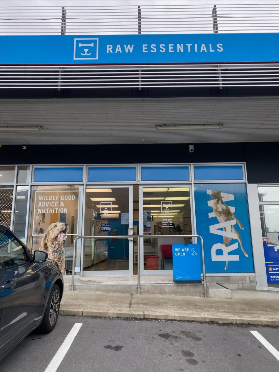 Screenshot 2025 11 03 202103