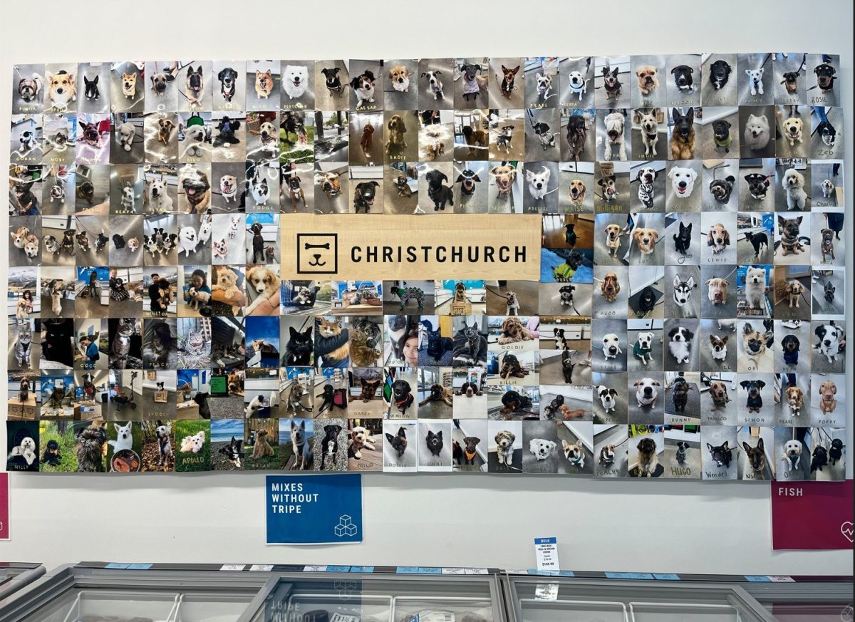 Screenshot 2025 12 04 134103