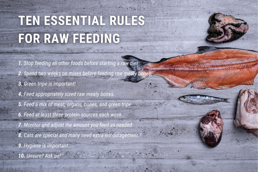 raw feeding nz