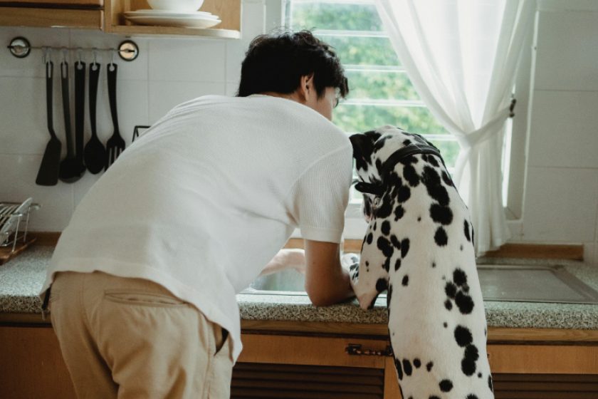 Screen Shot 2025 10 05 at 3 01 29 PM