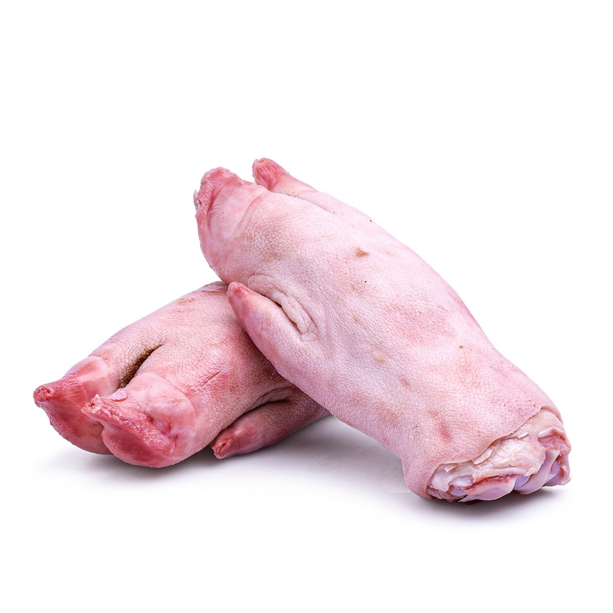 Trotters online