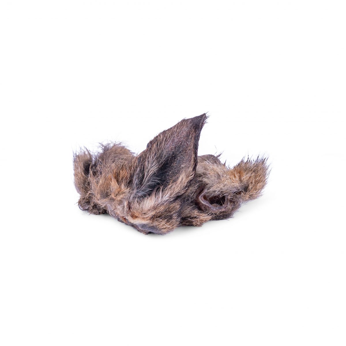 Wallaby Ears 1714