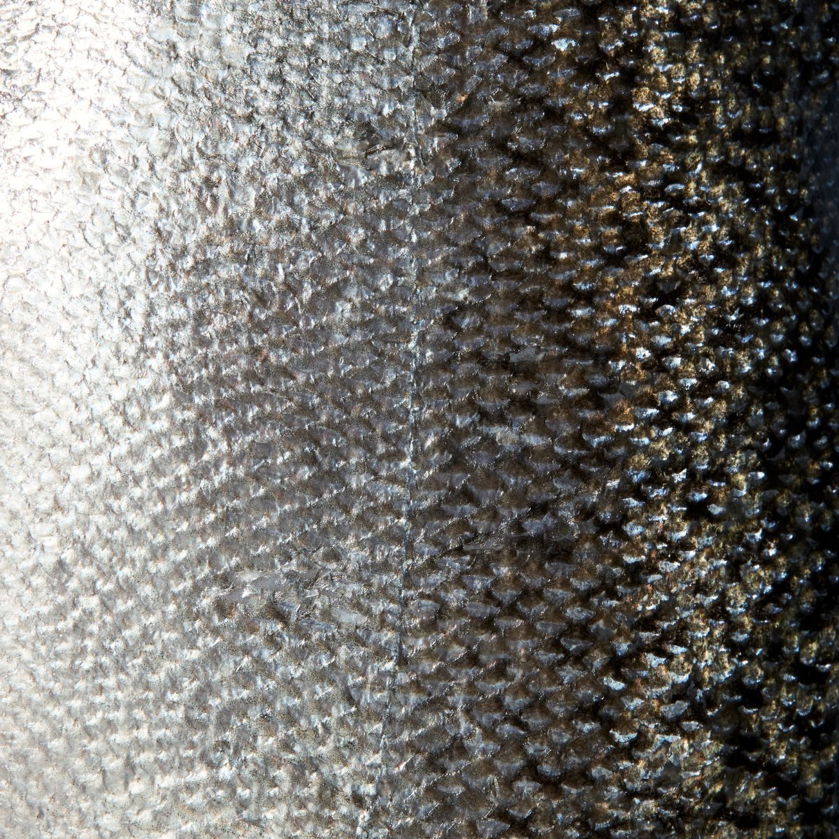 Salmon Skin macro