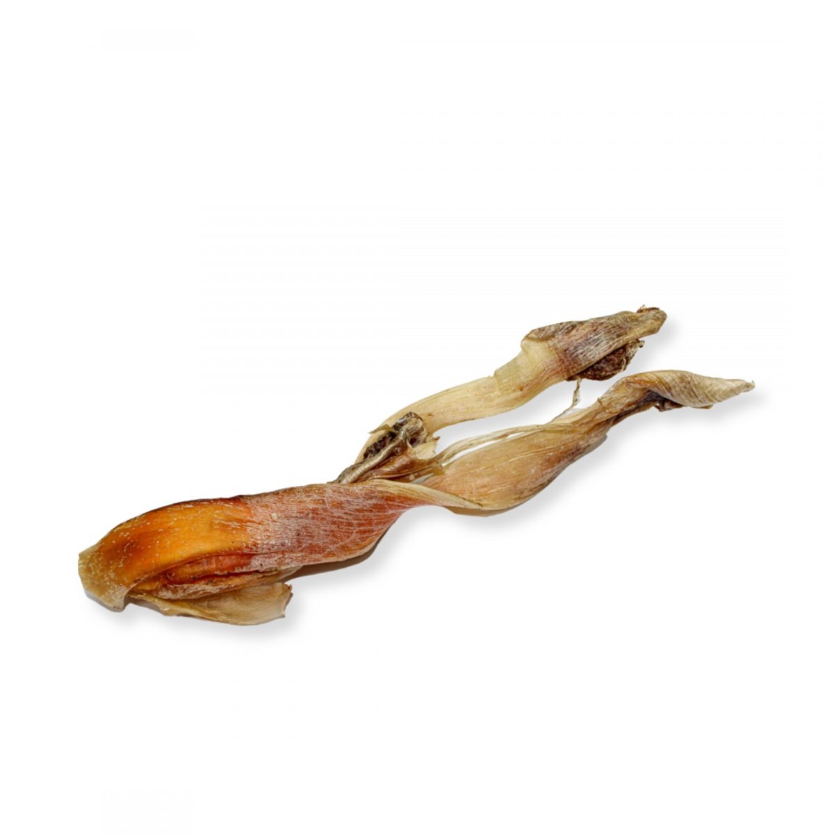 Ostrich tendon