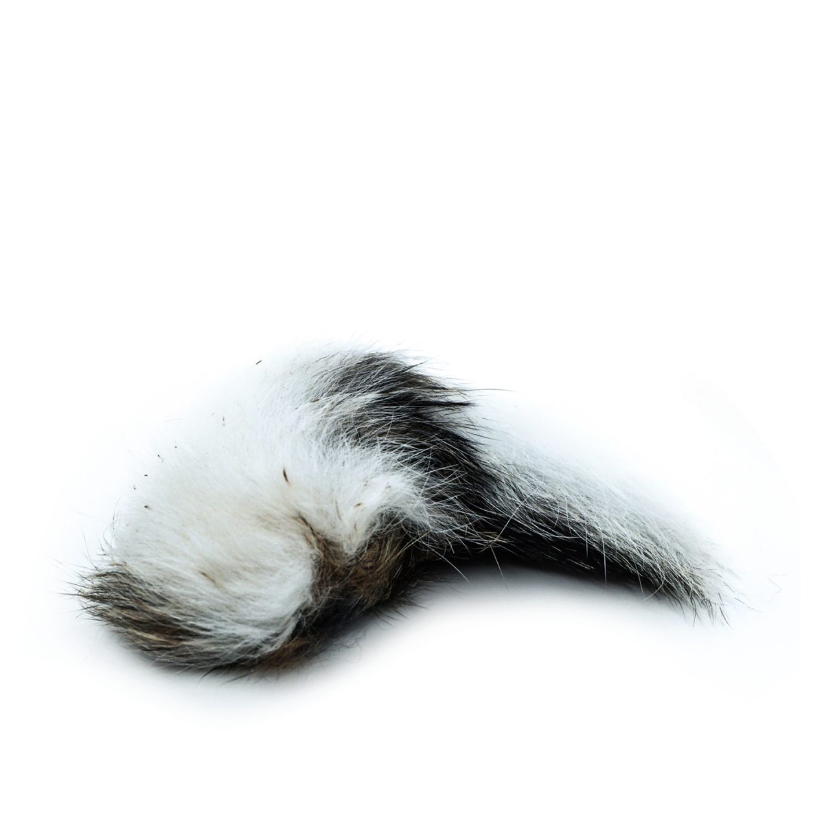 Rabbit Tail Treat For Dogs