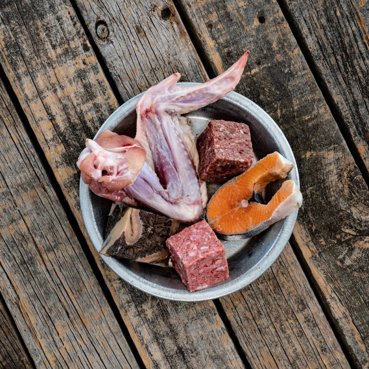 Assortment of Raw Essentials Ingredients Including, Salmon Fillet, Cubed Beef And Tripe, Turkey Wing and Cubed Wallaby Mixed Meat In Metal Pet Bowl