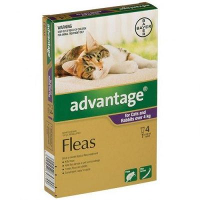 Advantage cats over4 4pack