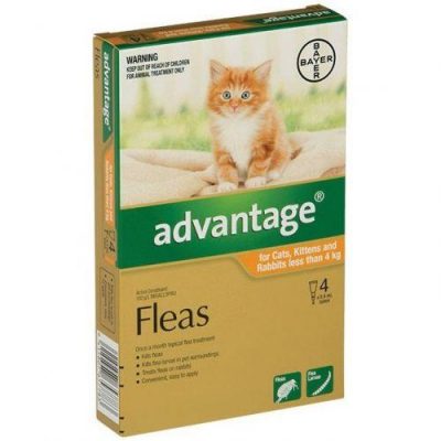Advantage catskittens 4pack