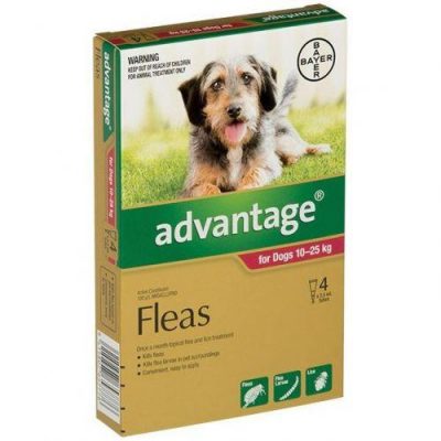 Advantage dog 10 25
