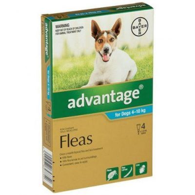 Advantage dog 4 10