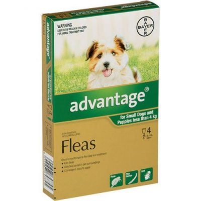 Advantage dog 4